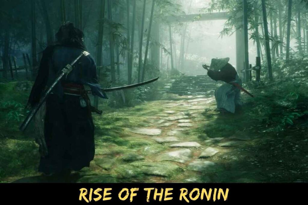 Rise Of The Ronin
