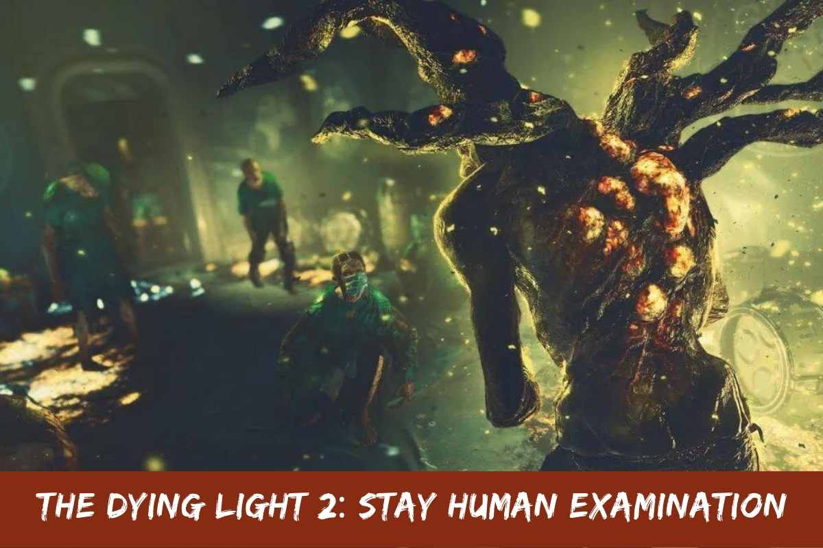 What Is The Dying Light 2 Stay Human Examination?