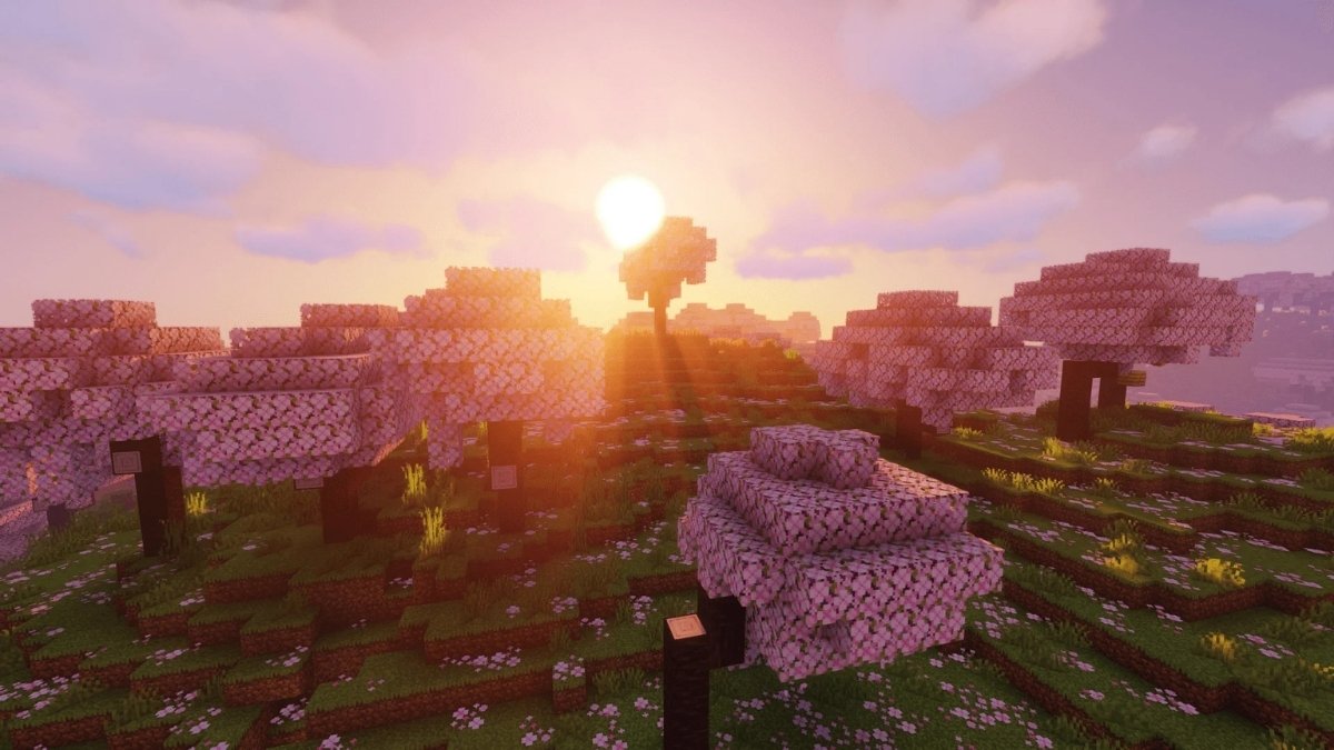 Minecraft Cherry Blossom Biome
