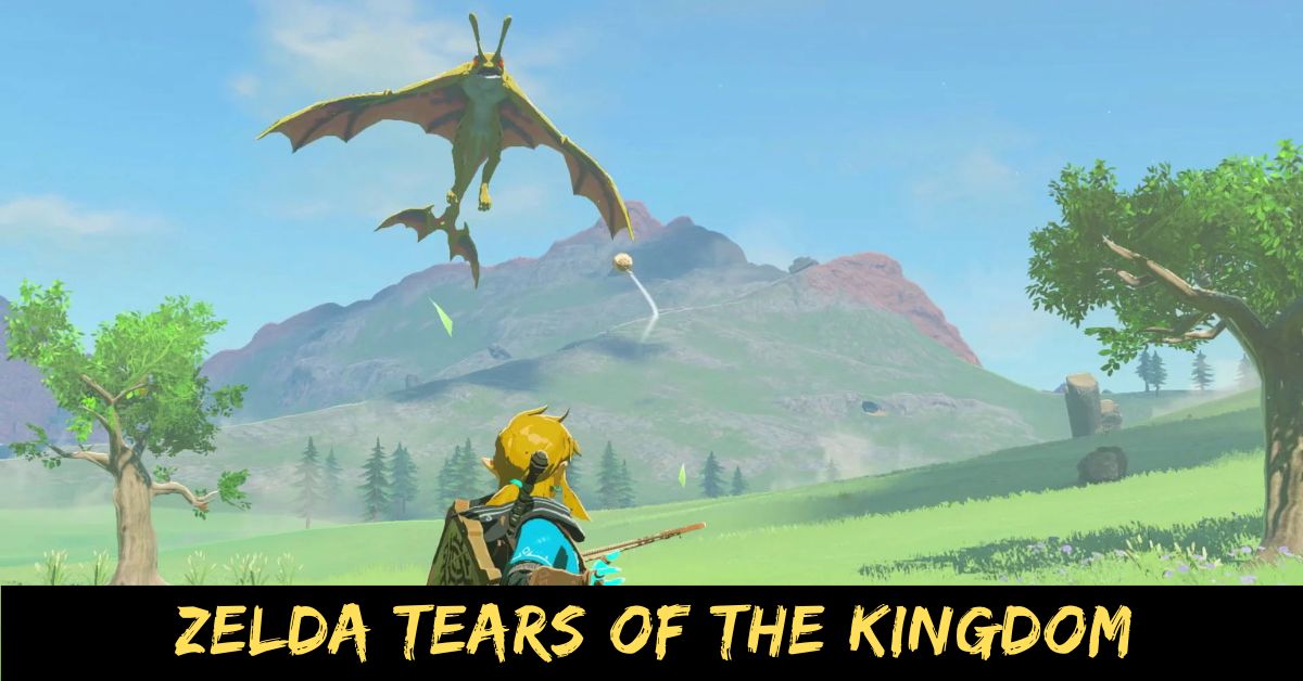 Zelda Tears of the Kingdom