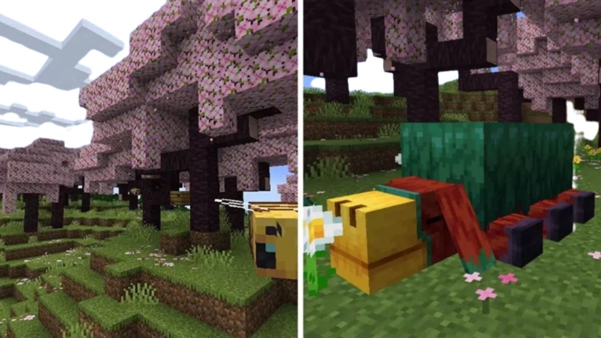 1.20 Minecraft Update