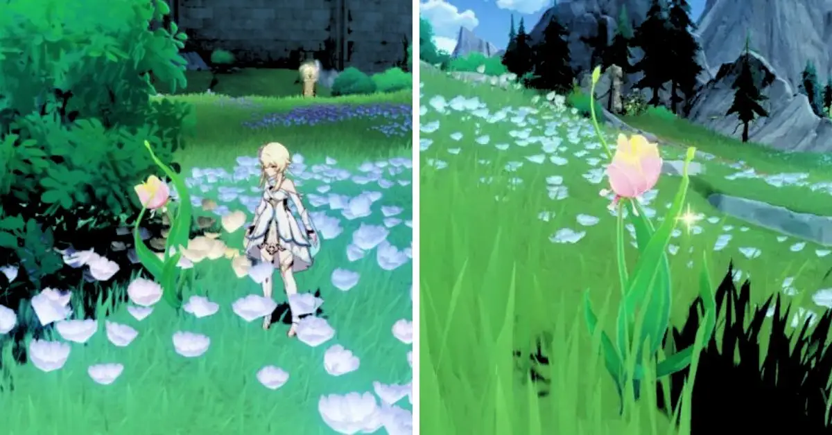 Genshin Impact Rainbow Rose Locations