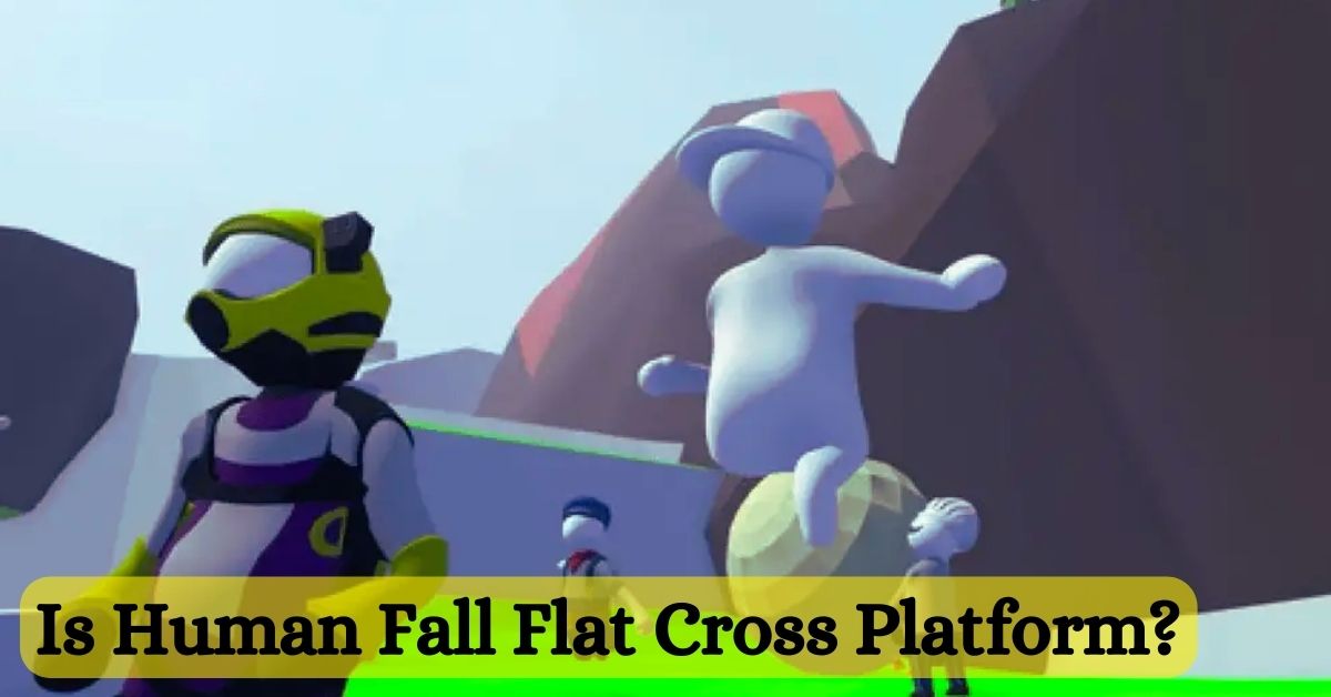 Is Human Fall Flat Cross Platform?