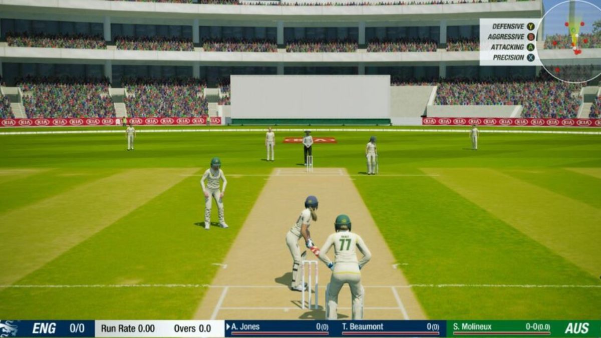 Cricket 19