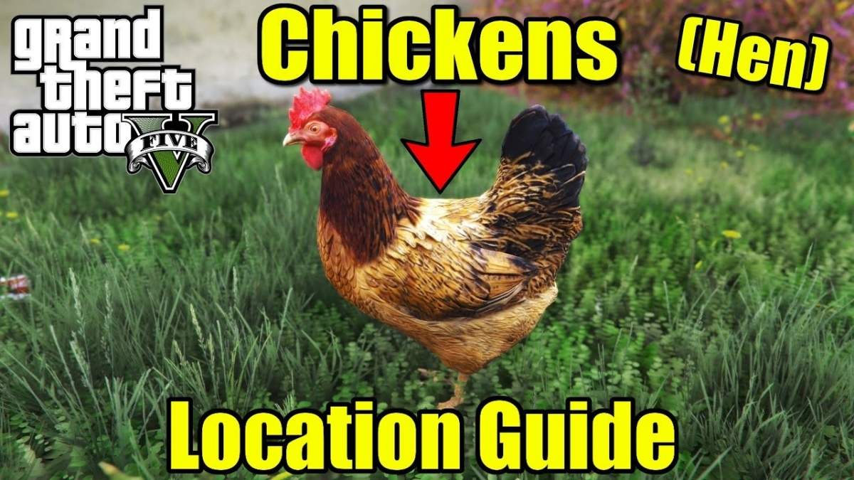 GTA Online Hen Location Revealed