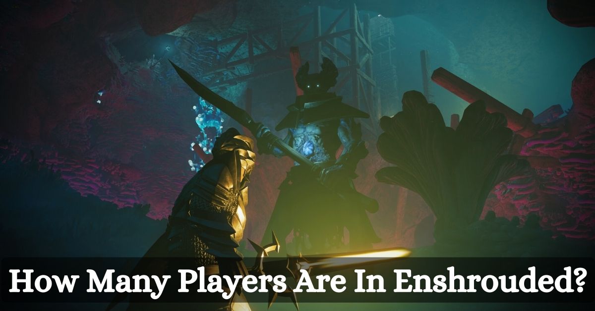 How Many Players Are In Enshrouded? A Guide For Co-op Fans