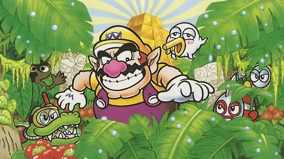 Wario Land