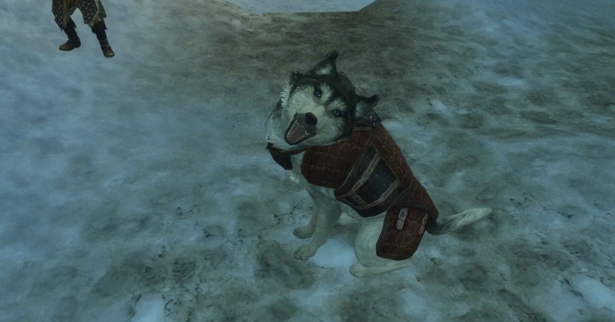 Garm The Husky